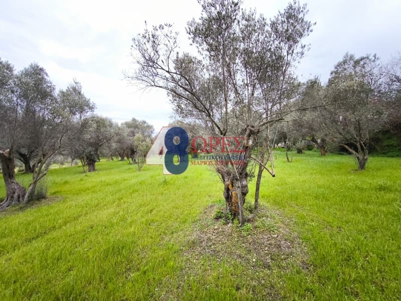 Οικόπεδο στην Άγιος Μηνάς, Χίος — Φωτογραφία 4 από 12