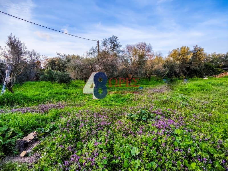 Οικόπεδο στην Άγιος Μηνάς, Χίος — Φωτογραφία 3 από 6