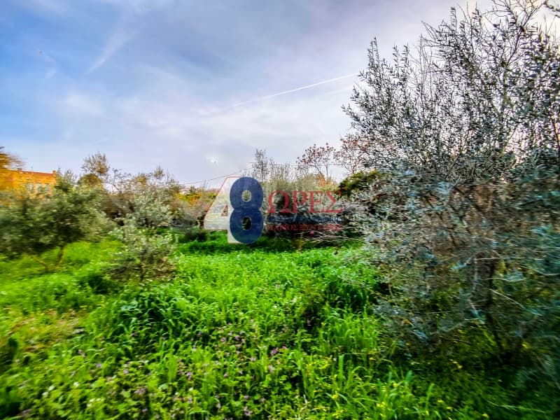 Οικόπεδο στην Άγιος Μηνάς, Χίος — Φωτογραφία 5 από 6