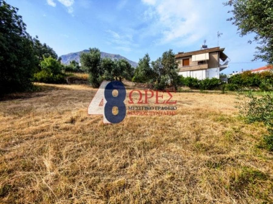 Οικόπεδο στην Πόλη Χίου, Χίος — Φωτογραφία 11 από 14
