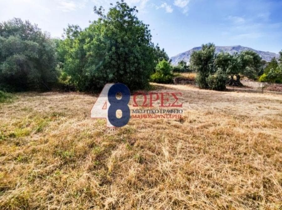 Οικόπεδο στην Πόλη Χίου, Χίος — Φωτογραφία 4 από 14