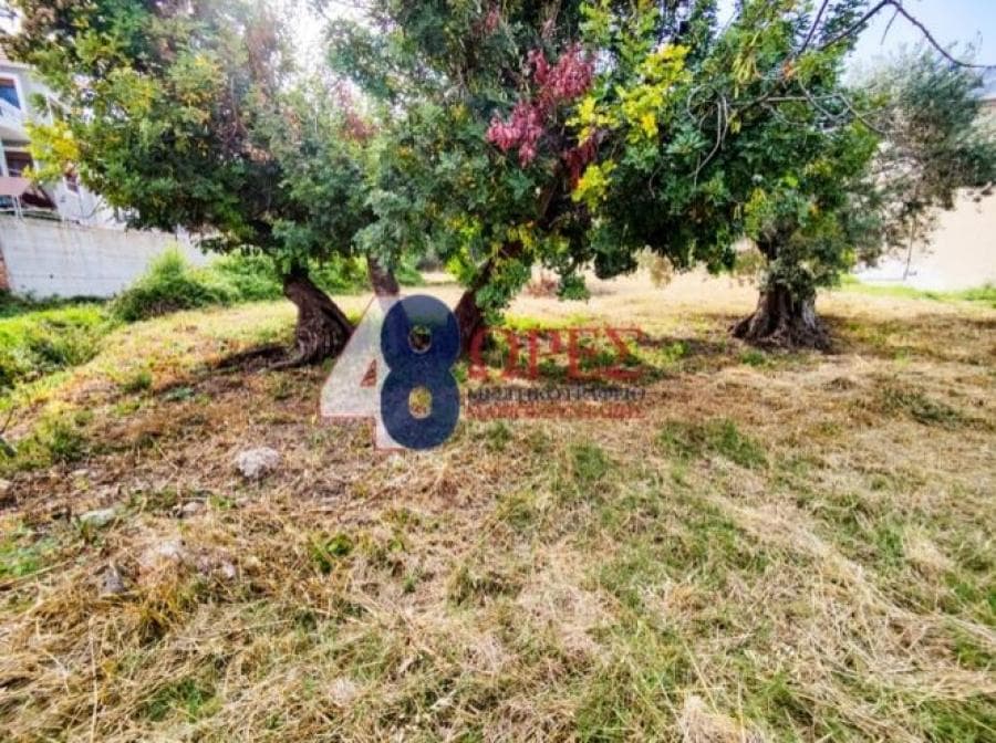 Οικόπεδο στην Πόλη Χίου, Χίος — Φωτογραφία 5 από 14