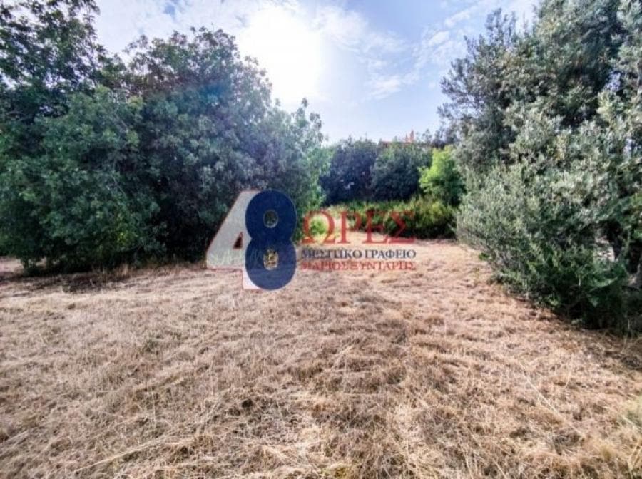 Οικόπεδο στην Πόλη Χίου, Χίος — Φωτογραφία 9 από 14