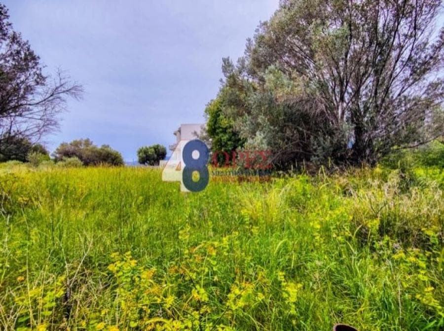 Οικόπεδο στην Πόλη Χίου, Χίος — Φωτογραφία 11 από 19