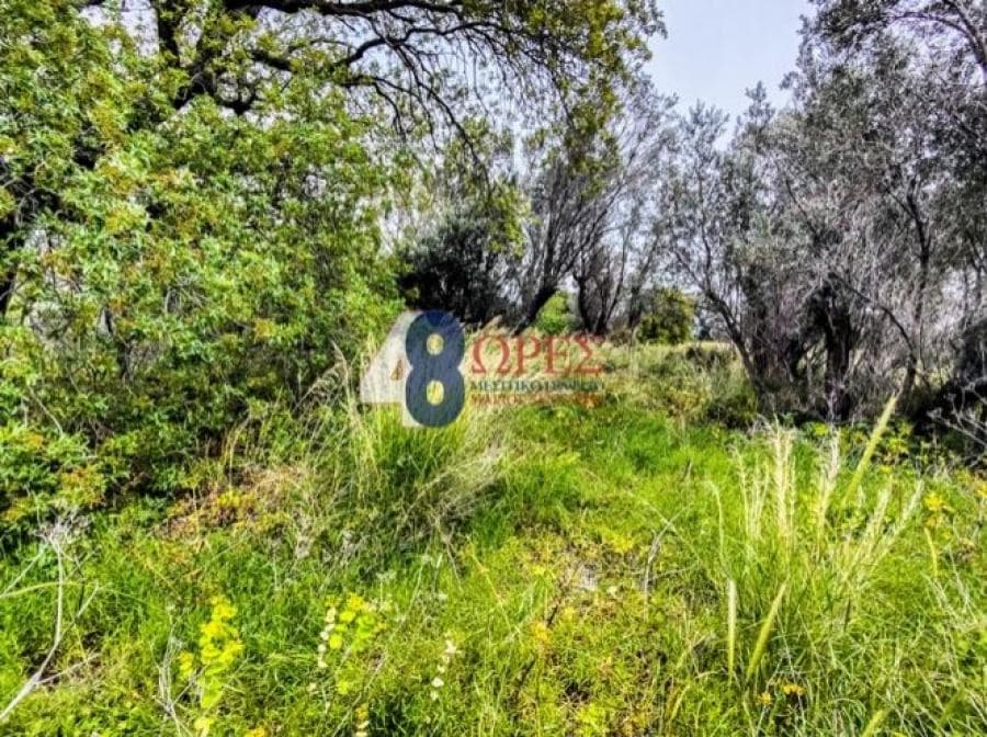 Οικόπεδο στην Πόλη Χίου, Χίος — Φωτογραφία 12 από 19