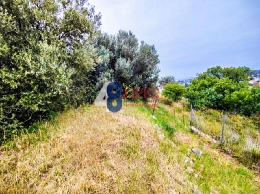 Οικόπεδο στην Πόλη Χίου, Χίος — Φωτογραφία 13 από 19