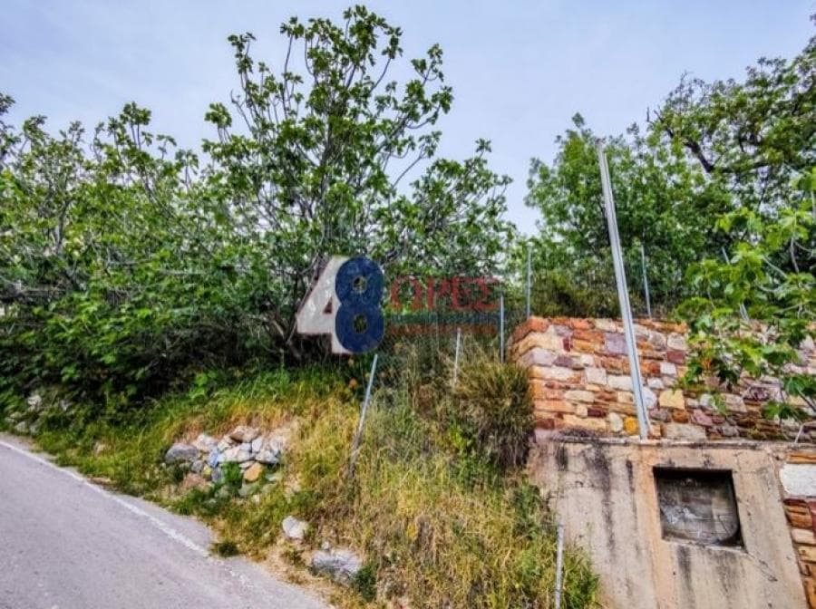 Οικόπεδο στην Πόλη Χίου, Χίος — Φωτογραφία 4 από 19