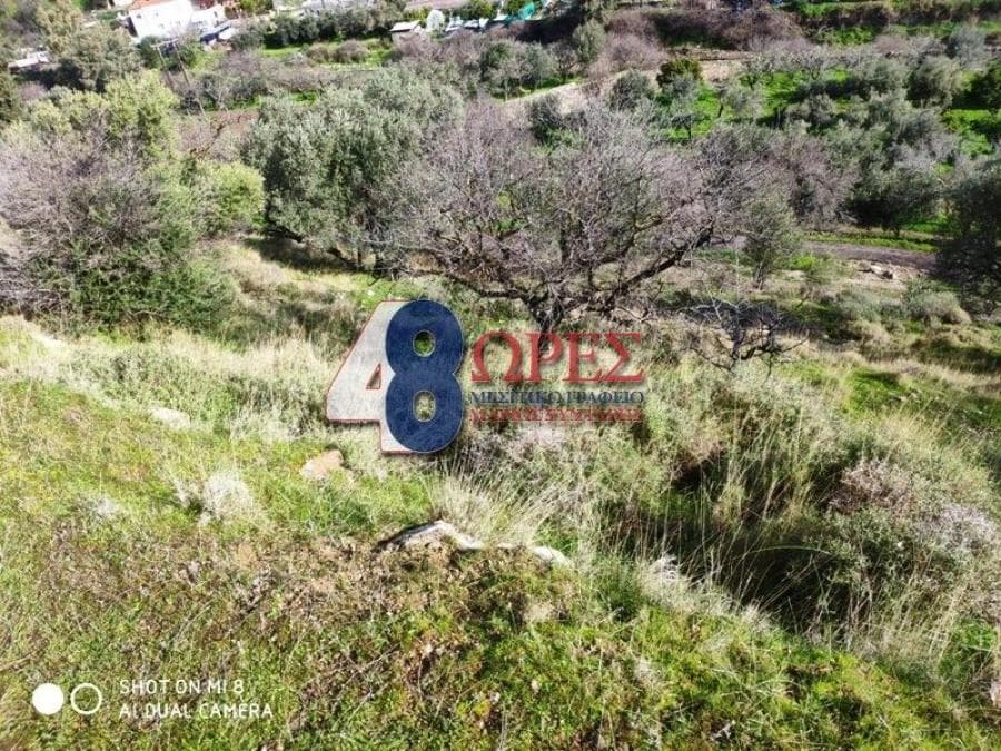 Οικόπεδο στην Πόλη Χίου, Χίος — Φωτογραφία 13 από 17