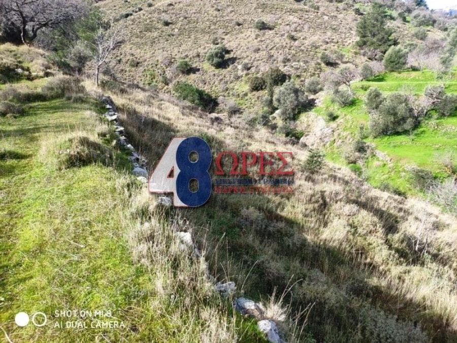 Οικόπεδο στην Πόλη Χίου, Χίος — Φωτογραφία 15 από 17