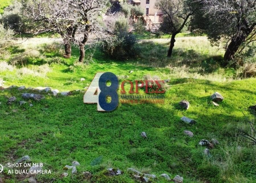 Οικόπεδο στην Πόλη Χίου, Χίος — Φωτογραφία 9 από 17
