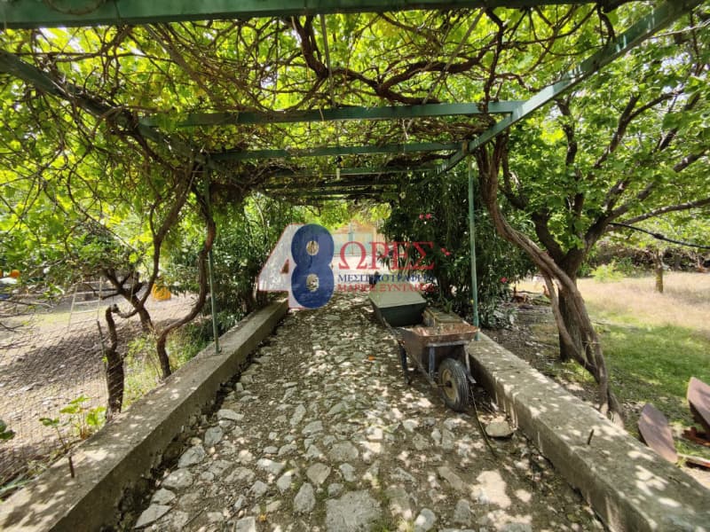 Οικόπεδο στην Πόλη Χίου, Χίος — Φωτογραφία 2 από 12