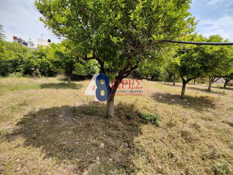 Οικόπεδο στην Πόλη Χίου, Χίος — Φωτογραφία 8 από 12