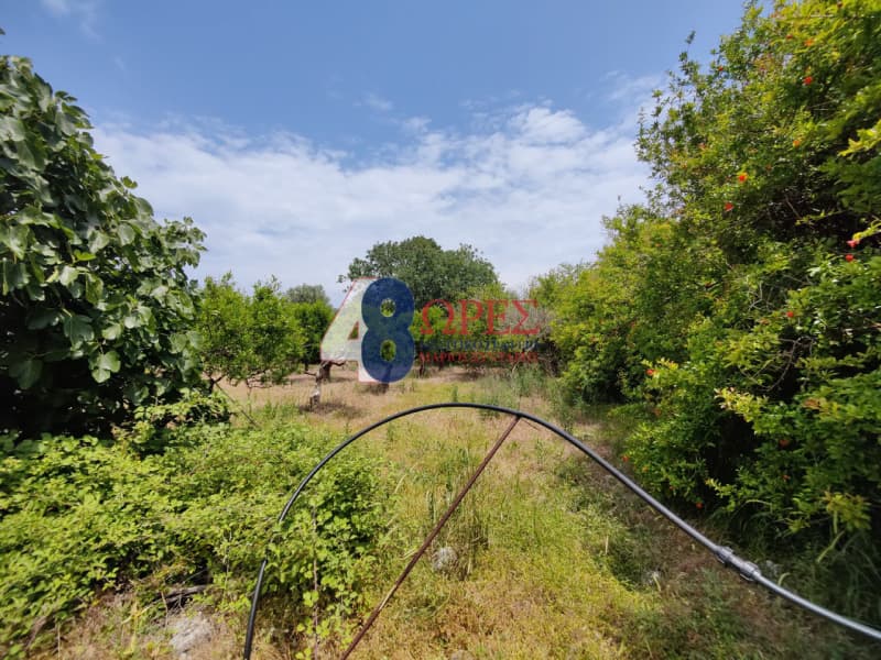 Οικόπεδο στην Πόλη Χίου, Χίος — Φωτογραφία 12 από 12