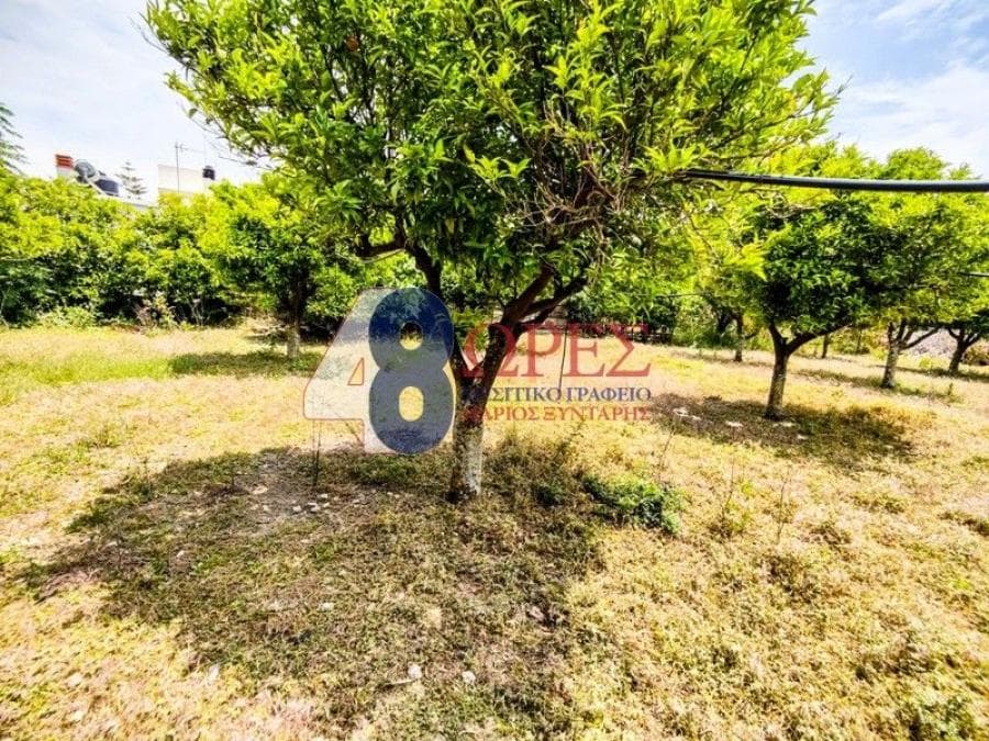 Οικόπεδο στην Πόλη Χίου, Χίος — Φωτογραφία 3 από 6