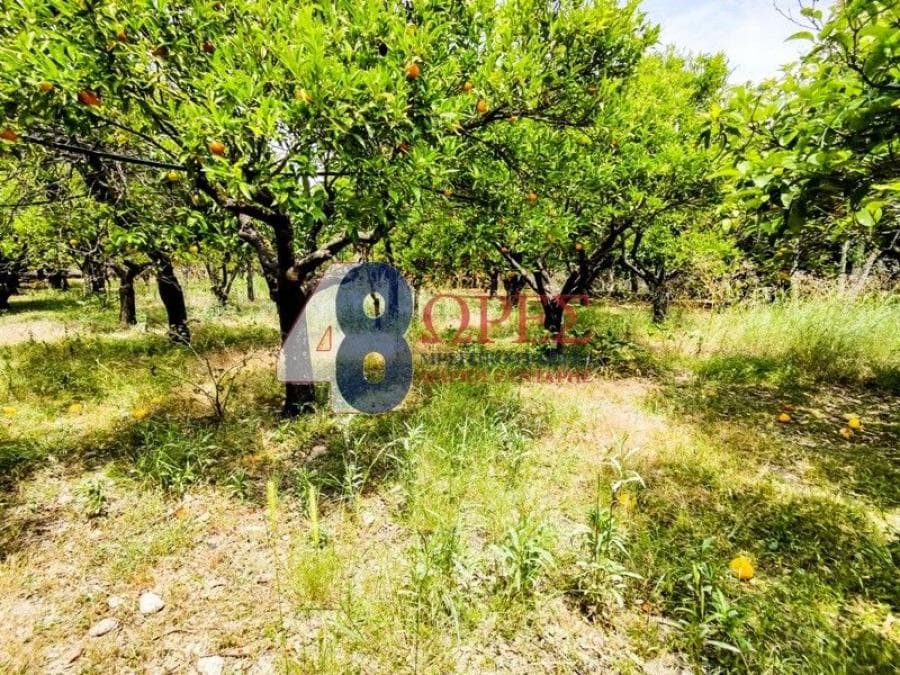 Οικόπεδο στην Πόλη Χίου, Χίος — Φωτογραφία 3 από 9