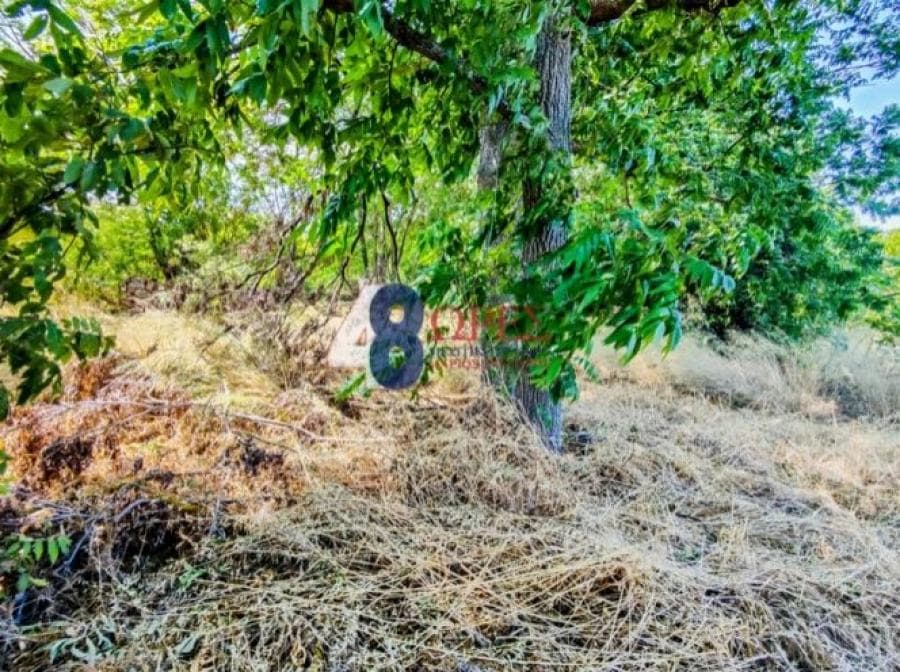 Οικόπεδο στην Άγιος Μηνάς, Χίος — Φωτογραφία 21 από 25