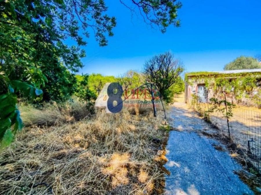 Οικόπεδο στην Άγιος Μηνάς, Χίος — Φωτογραφία 4 από 25