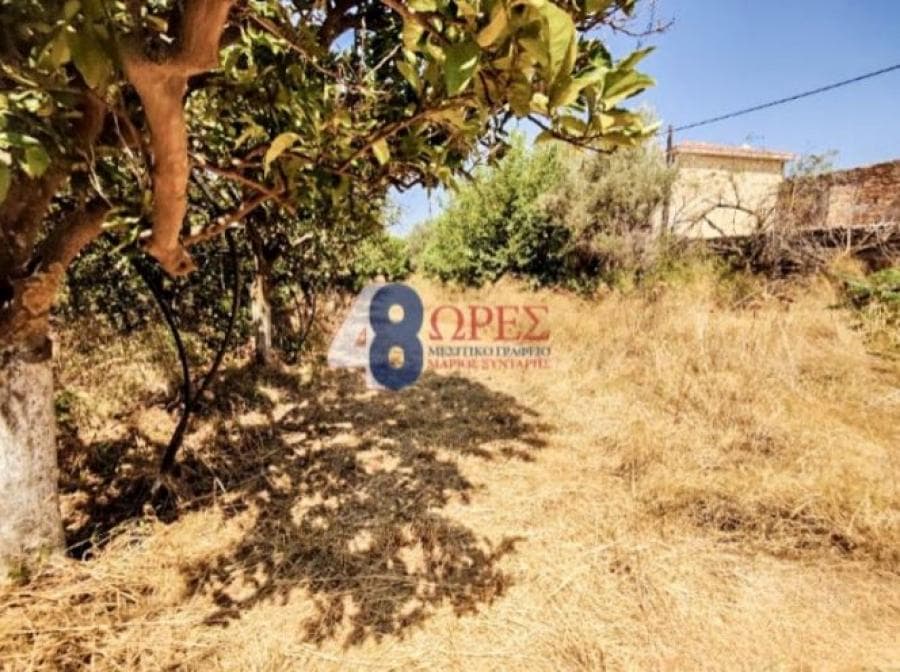 Οικόπεδο στην Άγιος Μηνάς, Χίος — Φωτογραφία 5 από 25