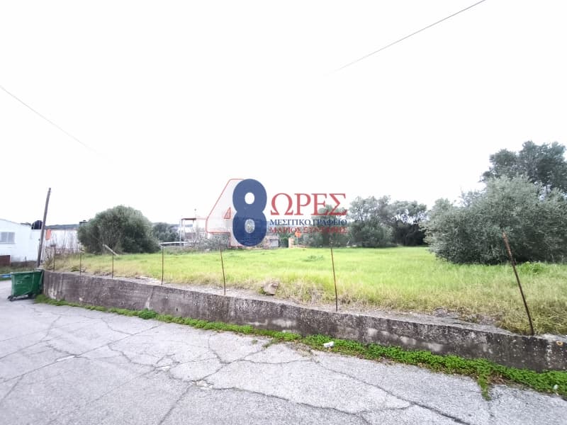 Οικόπεδο στην Άγιος Μηνάς, Χίος — Φωτογραφία 8 από 9