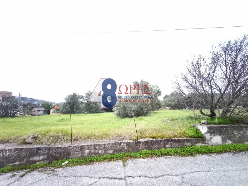 Οικόπεδο στην Άγιος Μηνάς, Χίος — Φωτογραφία 7 από 9