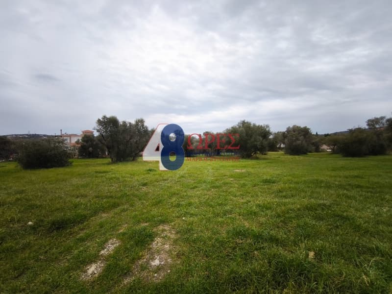 Οικόπεδο στην Άγιος Μηνάς, Χίος — Φωτογραφία 3 από 9
