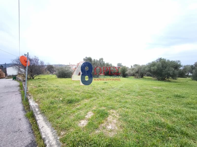 Οικόπεδο στην Άγιος Μηνάς, Χίος — Φωτογραφία 4 από 9