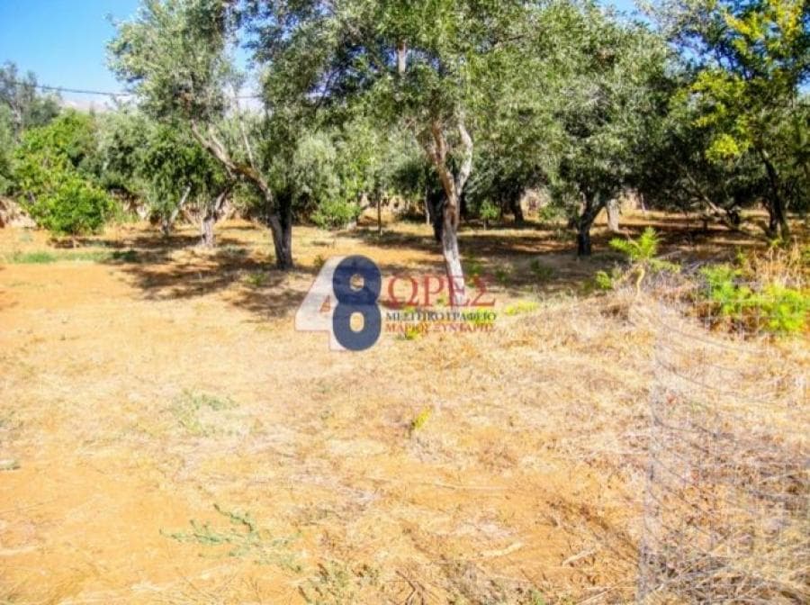 Οικόπεδο στην Πόλη Χίου, Χίος — Φωτογραφία 2 από 3