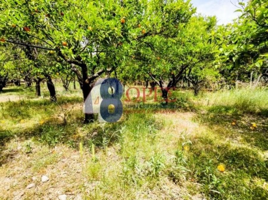 Building Plot in Chios town, Chios — Photo 2 of 16