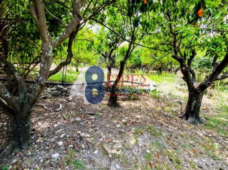 Building Plot in Chios town, Chios — Photo 3 of 16