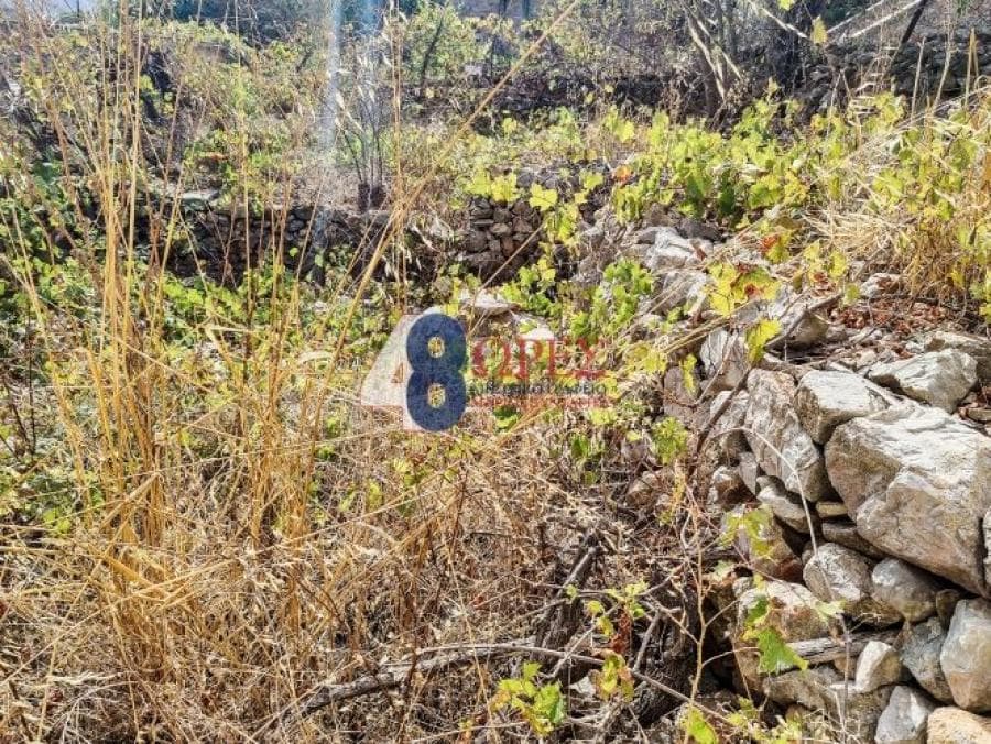 House in Mastichochoria, Chios — Photo 15 of 17