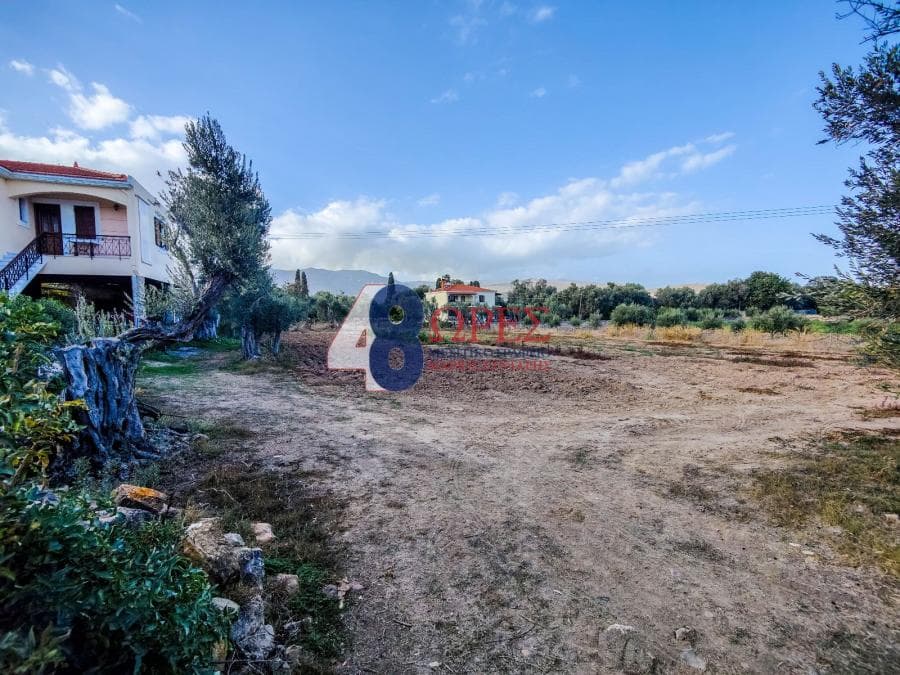 Building Plot in Agios Minas, Chios — Photo 2 of 11