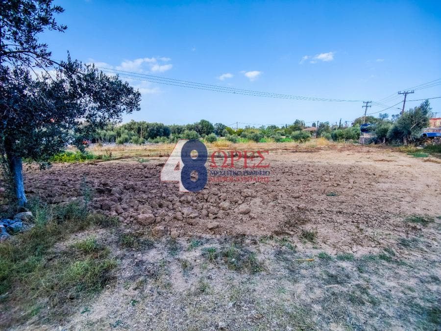 Building Plot in Agios Minas, Chios — Photo 4 of 11