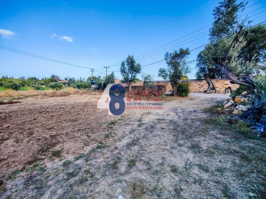 Building Plot in Agios Minas, Chios — Photo 5 of 11