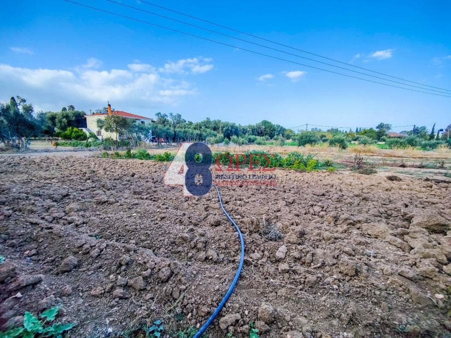 Building Plot in Agios Minas, Chios — Photo 6 of 11