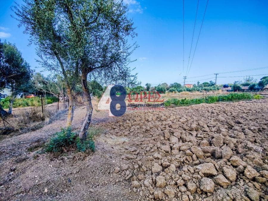Building Plot in Agios Minas, Chios — Photo 7 of 11