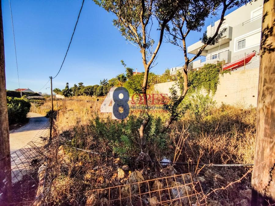 Building Plot in Agios Minas, Chios — Photo 5 of 23