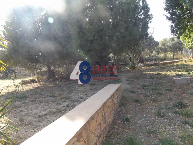 Μονοκατοικία στην Άγιος Μηνάς, Χίος — Φωτογραφία 7 από 30
