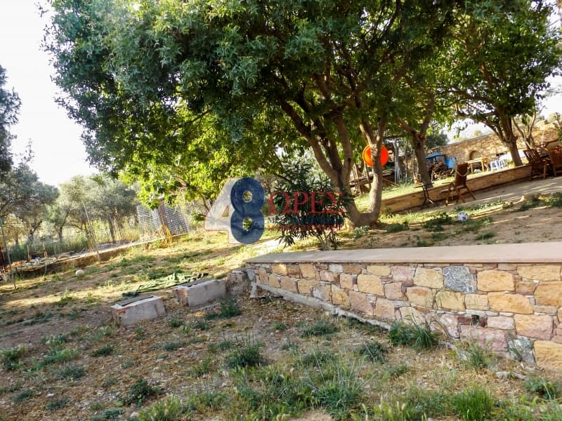 Μονοκατοικία στην Άγιος Μηνάς, Χίος — Φωτογραφία 6 από 30