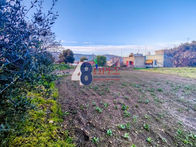 Building Plot in Chios town, Chios — Photo 10 of 24