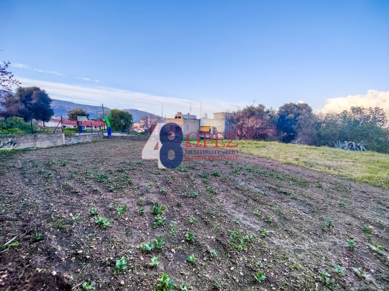 Building Plot in Chios town, Chios — Photo 11 of 24