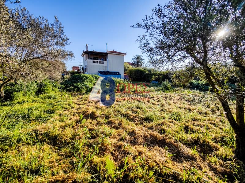 Building Plot in Agios Minas, Chios — Photo 18 of 19