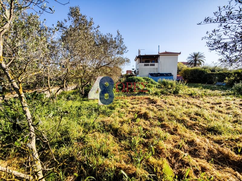 Building Plot in Agios Minas, Chios — Photo 17 of 19