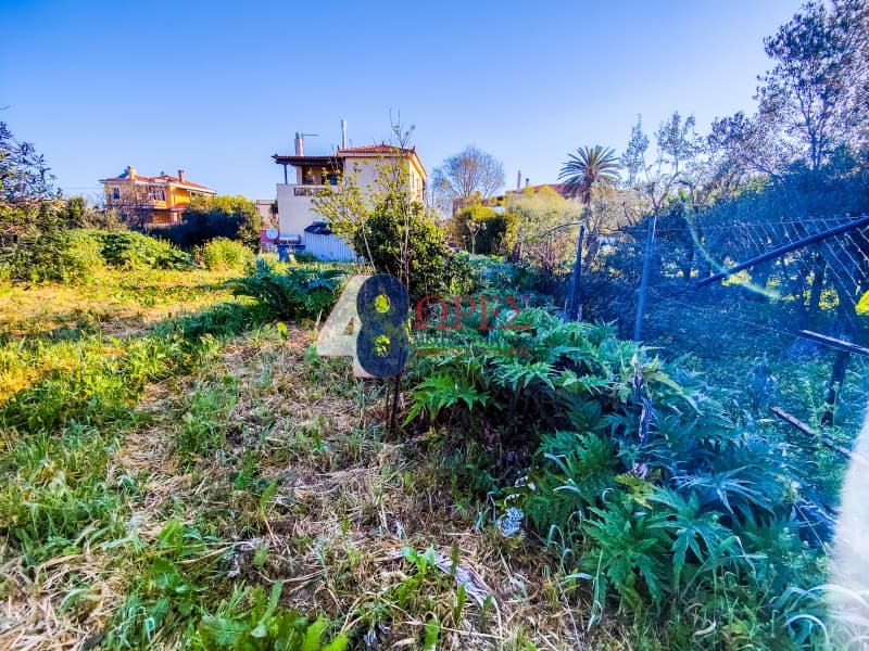 Building Plot in Agios Minas, Chios — Photo 15 of 19
