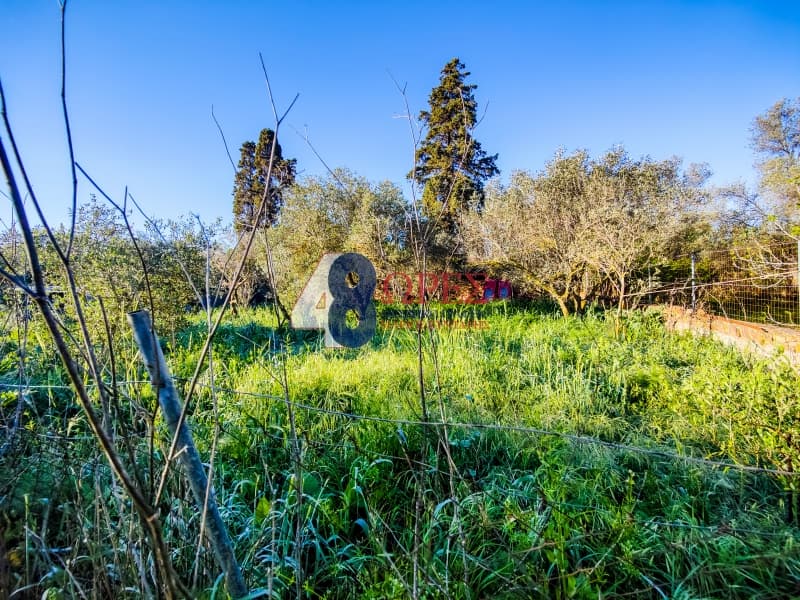 Building Plot in Agios Minas, Chios — Photo 7 of 19
