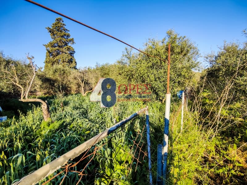 Building Plot in Agios Minas, Chios — Photo 14 of 19