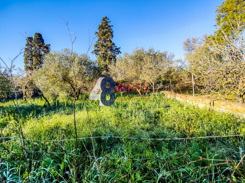 Building Plot in Agios Minas, Chios — Photo 16 of 19