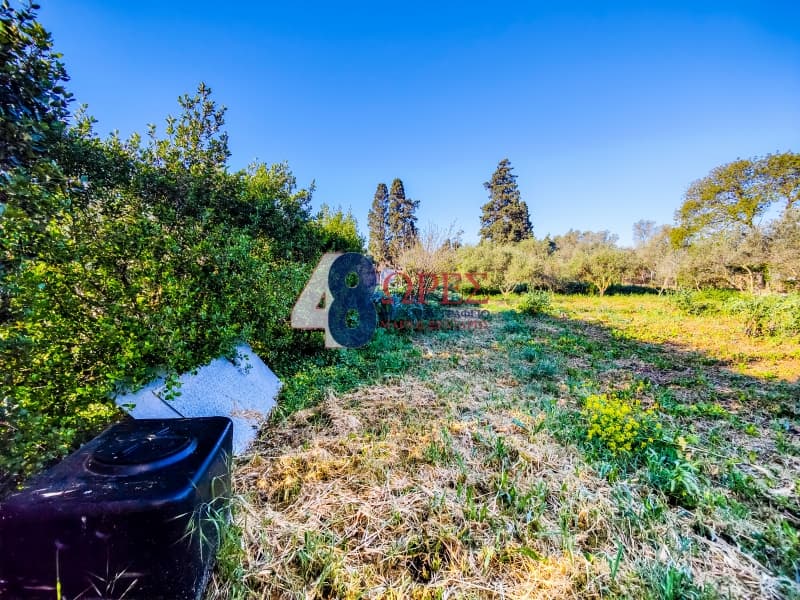 Building Plot in Agios Minas, Chios — Photo 11 of 19