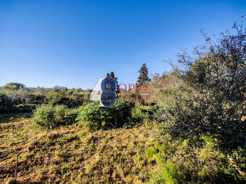 Building Plot in Agios Minas, Chios — Photo 9 of 19