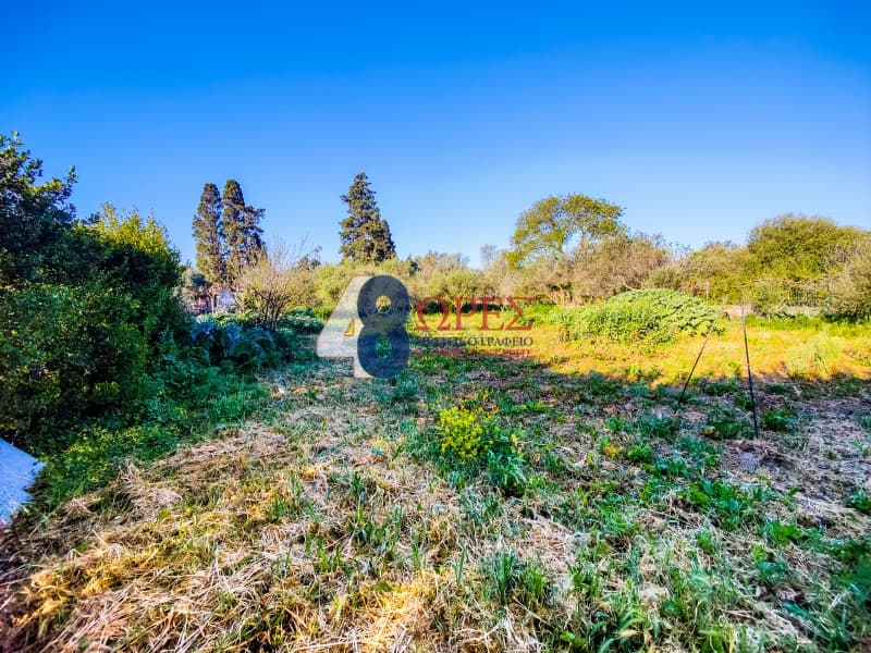 Building Plot in Agios Minas, Chios — Photo 6 of 19