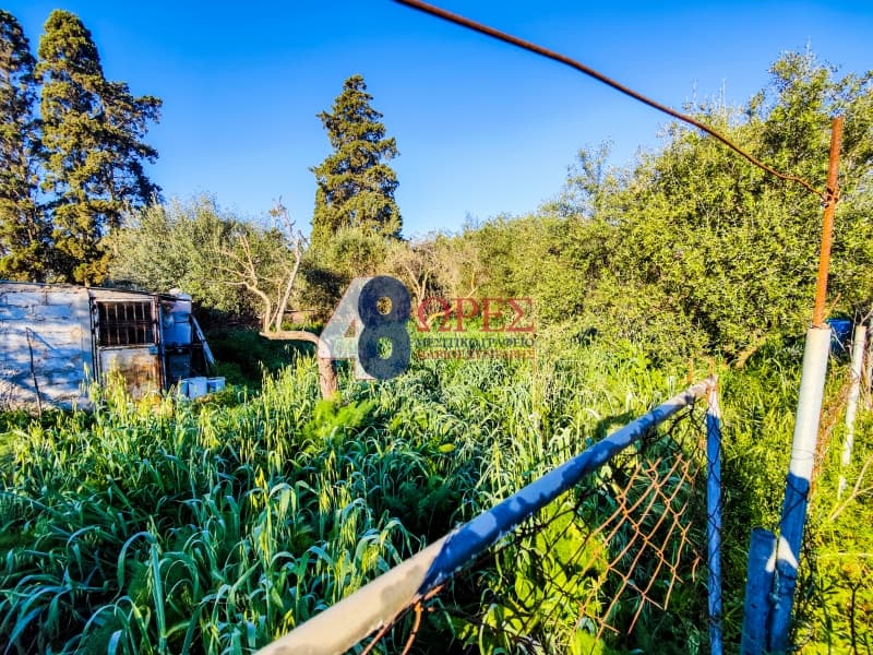 Building Plot in Agios Minas, Chios — Photo 13 of 19